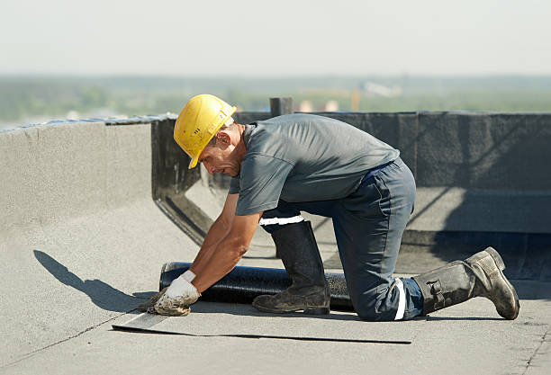 Best Commercial Insulation in Okeechobee, FL